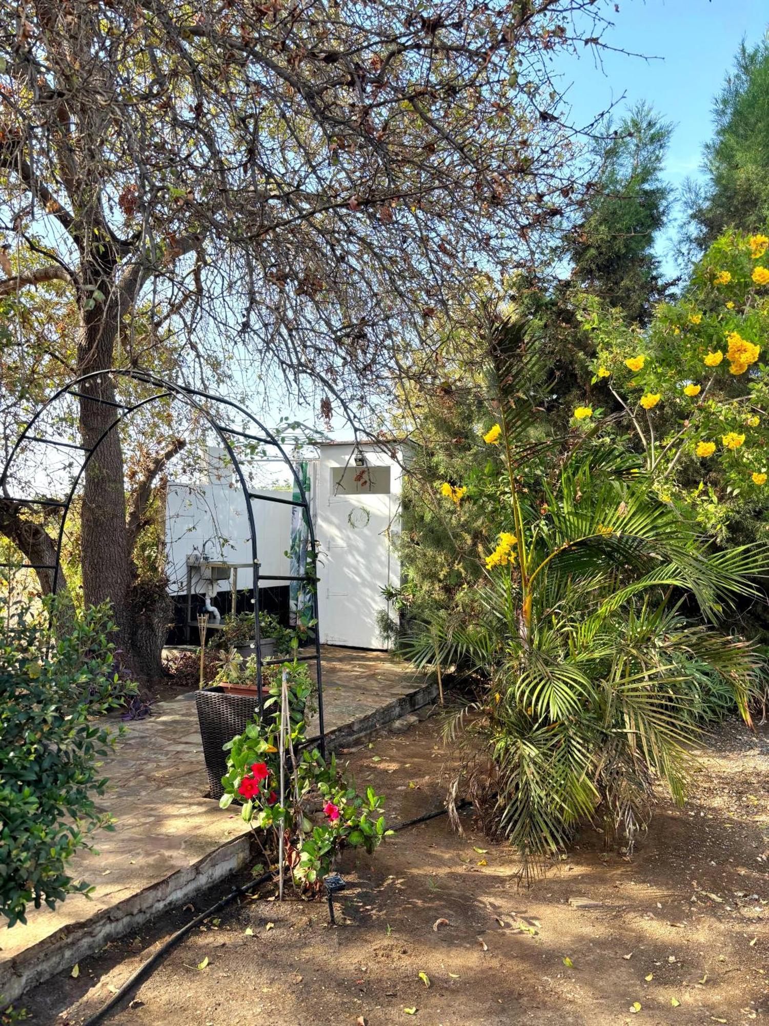 - Magic Bus - Hotel Klorakas Exterior photo